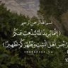 Фото профиля Sarah__x11