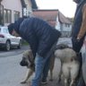 Profilbild von Daniel427