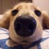 コージ profil fotoğrafı