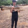 Rennan Alves's profile picture