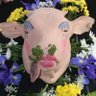 Profilbild von Je Reviens
