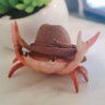 Crabbyfeet profil fotoğrafı