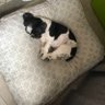 Francisco's profile picture