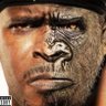 StonkGorilla🦍's profile picture