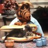 Фото профиля Alf el come gatos
