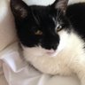 Profilbild von Millie K