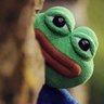 Profilbild von RVD