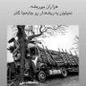 Profilbild von ‏🇮🇷mahdi honari