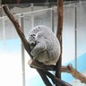 たけぞう profil fotoğrafı