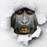 Eric's profile picture