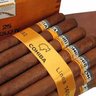Siglo IV profil fotoğrafı