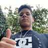 Vitor's profile picture