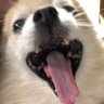 なつみ 的头像
