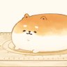 SentientBread profil fotoğrafı