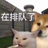 比丁真还真 profil fotoğrafı