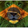Laís Viola 🇧🇷🇧🇷's profile picture