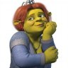 Princesa Fiona reserva profil fotoğrafı