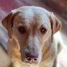 Profilbild von Labby325