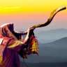 Фото профиля Samson Israel