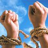 Profilbild von Freedom