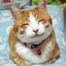 アキ (稲尾様、イマミ~、ひかる、勇、達🙄) 的头像