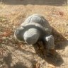 Algar profil fotoğrafı