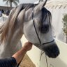 Фото профиля Abdullah