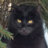 Profilbild von Jacek Placek