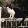 はとぽっぽ 的头像