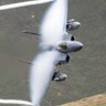 BasedF-15Pilot 🇺🇸 profil fotoğrafı