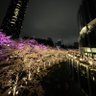 Фото профиля DostoFsky@資産1億まであと1000万