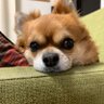 Cozy_base27 的头像
