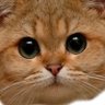 Thirdy  profil fotoğrafı