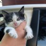 Фото профиля Joey The Jellybean (Jububekir)