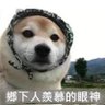 Mmlolerbb 的头像