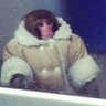 rancho deluxe's profile picture