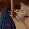 لوليتّا's profile picture