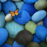漂浮的石头 profil fotoğrafı