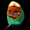 Profilbild von J