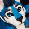 Profilbild von mobsabercat.bsky.social