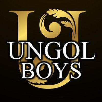 UNGOLBOYS's profile picture