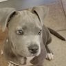Фото профиля Gala29