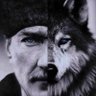 Lobos's profile picture