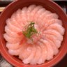 かかこ 的头像