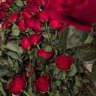 Фото профиля Nora Ramadan