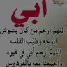 Mohamed Elsayed 的头像