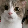 Mon's profile picture
