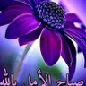 Profilbild von أتعلم من الحياة