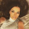 Drita Davanzo's profile picture