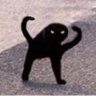AlejandroQuestt's profile picture